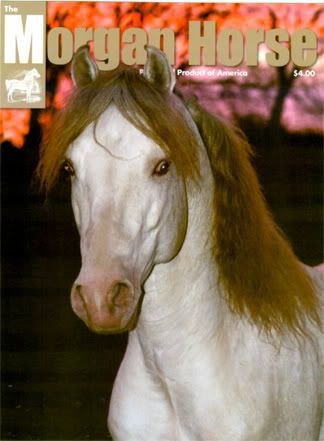 morganhorsecover2005.jpg