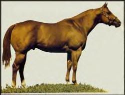 Impressive (god that's an ugly horse)