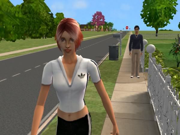 snapshot_51207ee9_517e4cb7.jpg