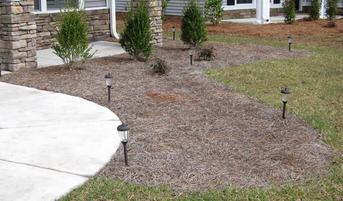 Landscaping ideas please - Zone 8, pics included • HelpfulGardener ...