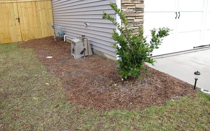 Landscaping ideas please - Zone 8, pics included • HelpfulGardener 