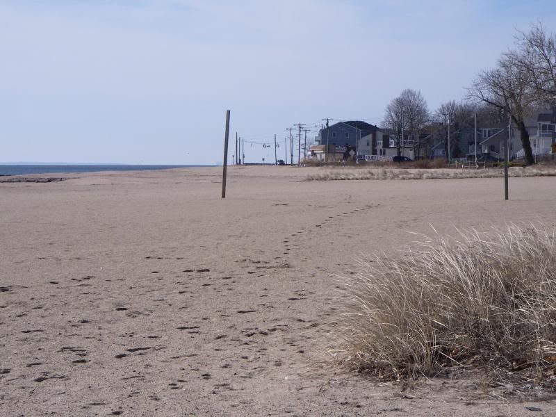 02-28-09003-1.jpg