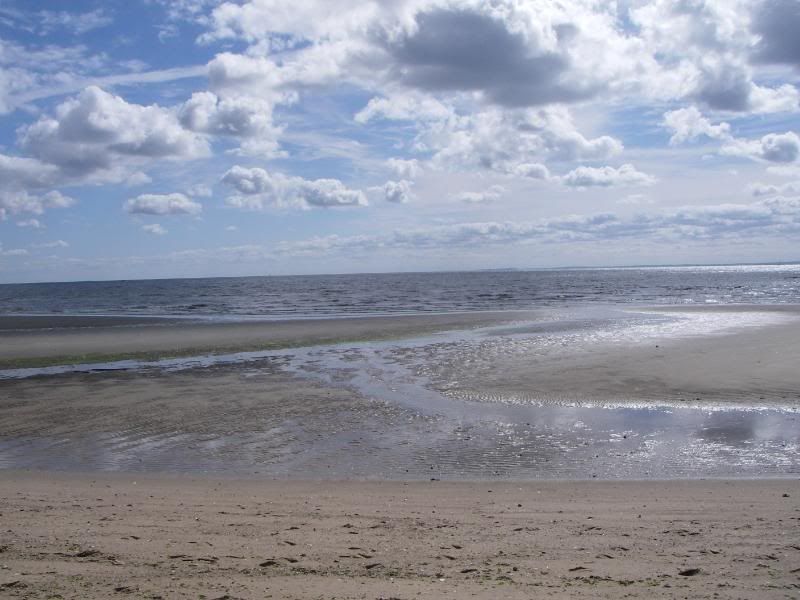 10-8-09004.jpg
