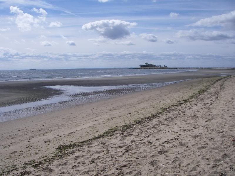 10-8-09006.jpg