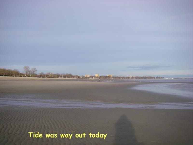 11-15-09012.jpg