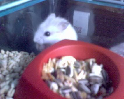 Photobucket - Video and Image Hosting