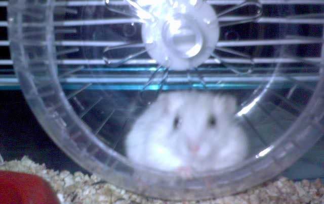 Photobucket - Video and Image Hosting