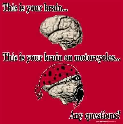 BikerBrain.jpg Bikers Brain image by hd_honey2