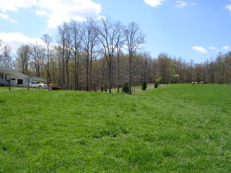 House and land for sale in South Pittsburg, TN. Classified Ads Buy