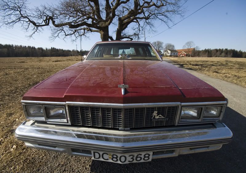 CAPRICE.jpg?t=1190289988