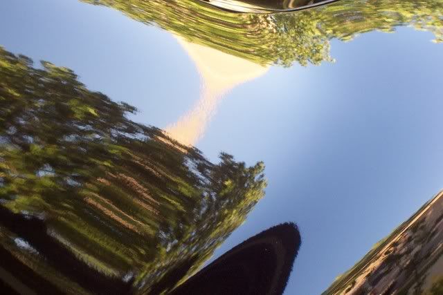 100_4221.jpg