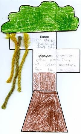 The Great Kapok Tree: A Tale of the Amazon Rain Forest - Lynne Cherry