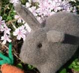 "Clover" the Cashmere Bunny - Charity Auction
