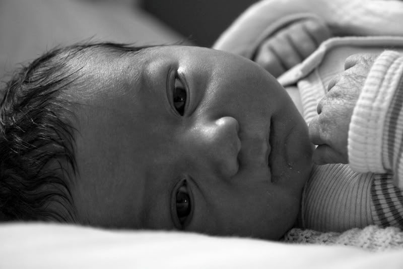 IMAGE: http://i56.photobucket.com/albums/g171/daleporter/Ben/Ben-4-1-09-001-small.jpg