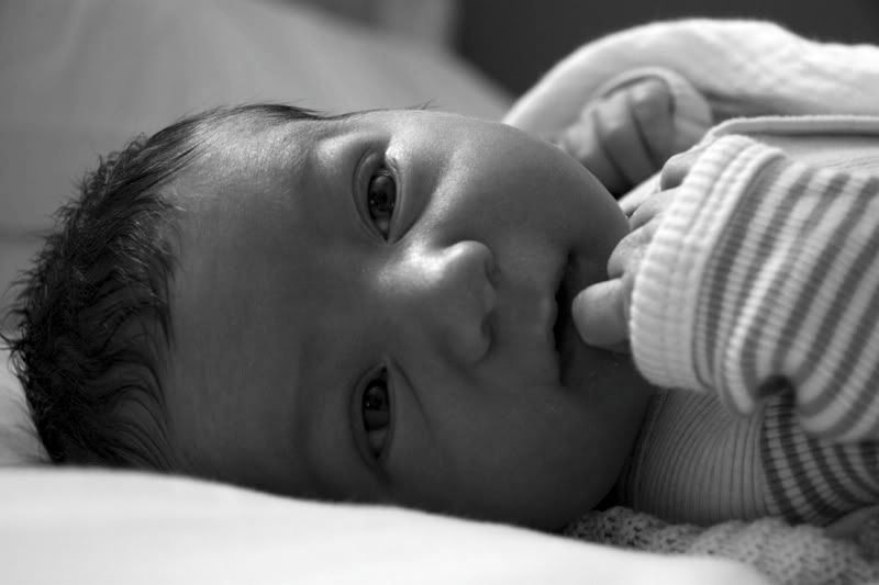 IMAGE: http://i56.photobucket.com/albums/g171/daleporter/Ben/Ben-4-1-09-012-small.jpg