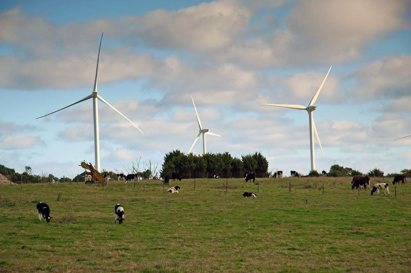 IMAGE: http://i56.photobucket.com/albums/g171/daleporter/Landscapes/turbines0003-w.jpg