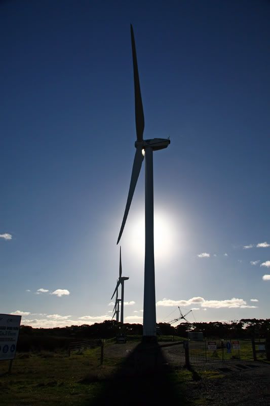 IMAGE: http://i56.photobucket.com/albums/g171/daleporter/Landscapes/windfarm0050-w.jpg
