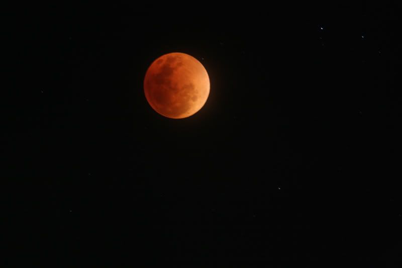 IMAGE: http://i56.photobucket.com/albums/g171/daleporter/Nature/redmoon0006-w.jpg