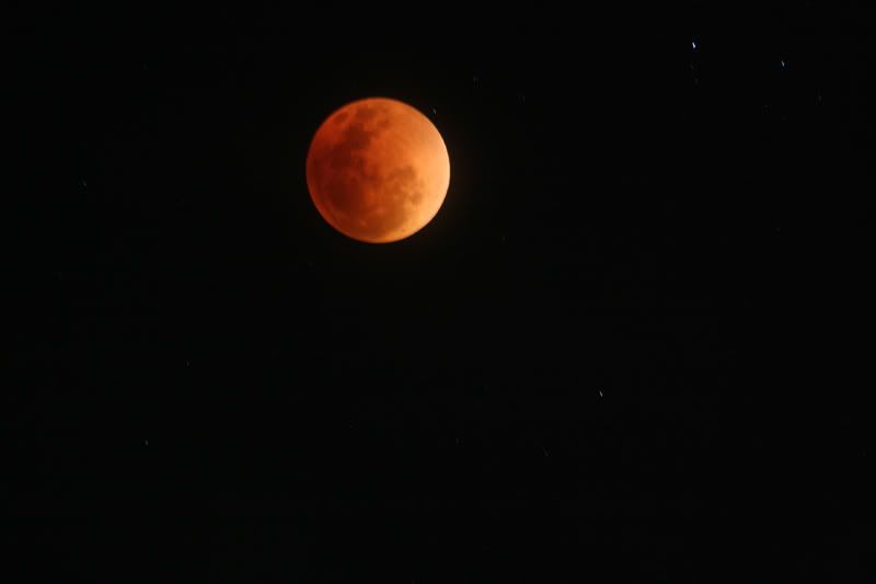 IMAGE: http://i56.photobucket.com/albums/g171/daleporter/Nature/redmoon0007-w.jpg