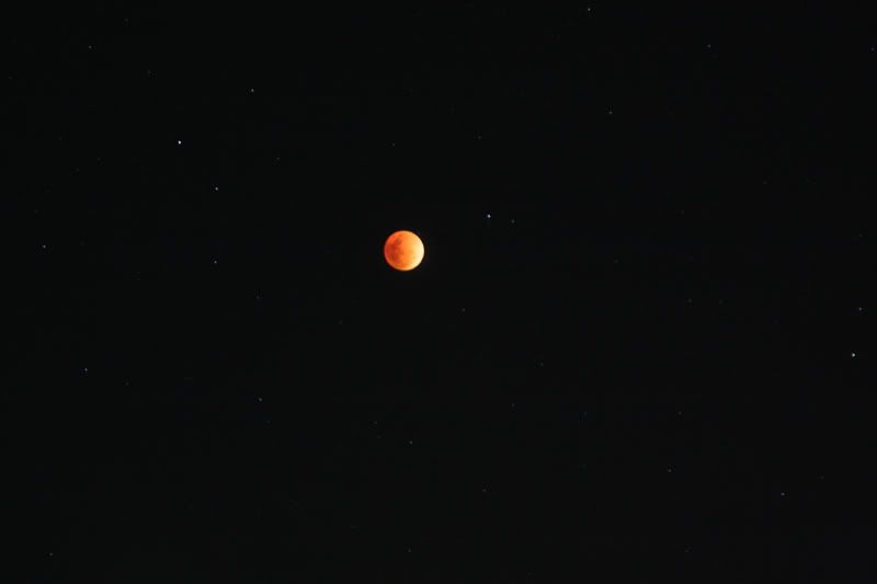 IMAGE: http://i56.photobucket.com/albums/g171/daleporter/Nature/redmoon0009-w.jpg