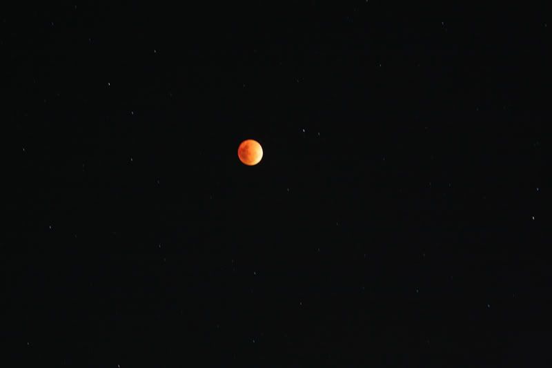 IMAGE: http://i56.photobucket.com/albums/g171/daleporter/Nature/redmoon0011-w.jpg