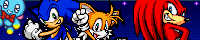 ~Sonic The Hedgehog Guild~ banner