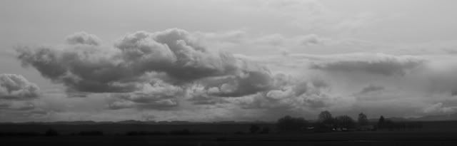 IMAGE: http://i56.photobucket.com/albums/g177/jnyjetta/CloudyDay.jpg