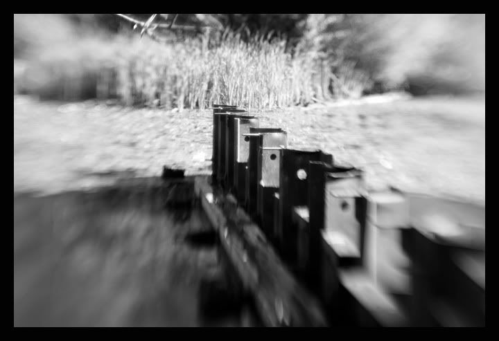 IMAGE: http://i56.photobucket.com/albums/g177/jnyjetta/IMG_4262.jpg