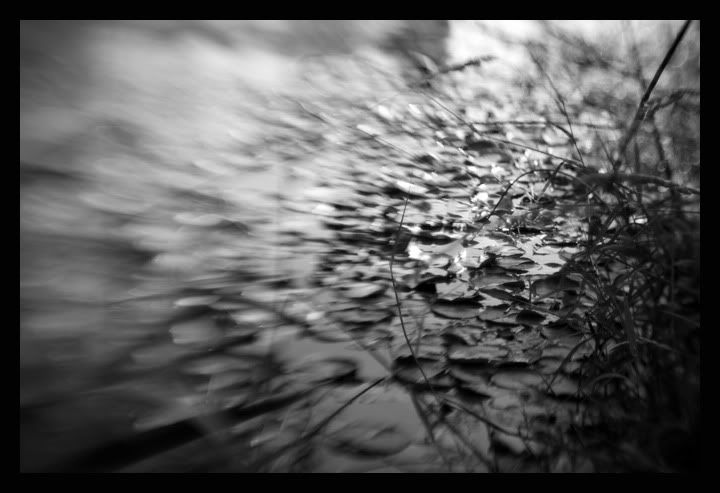 IMAGE: http://i56.photobucket.com/albums/g177/jnyjetta/IMG_4269.jpg