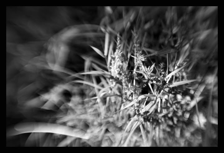 IMAGE: http://i56.photobucket.com/albums/g177/jnyjetta/IMG_4276.jpg