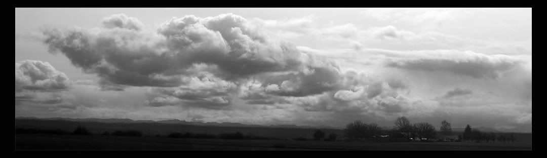 IMAGE: http://i56.photobucket.com/albums/g177/jnyjetta/Stormy1.jpg