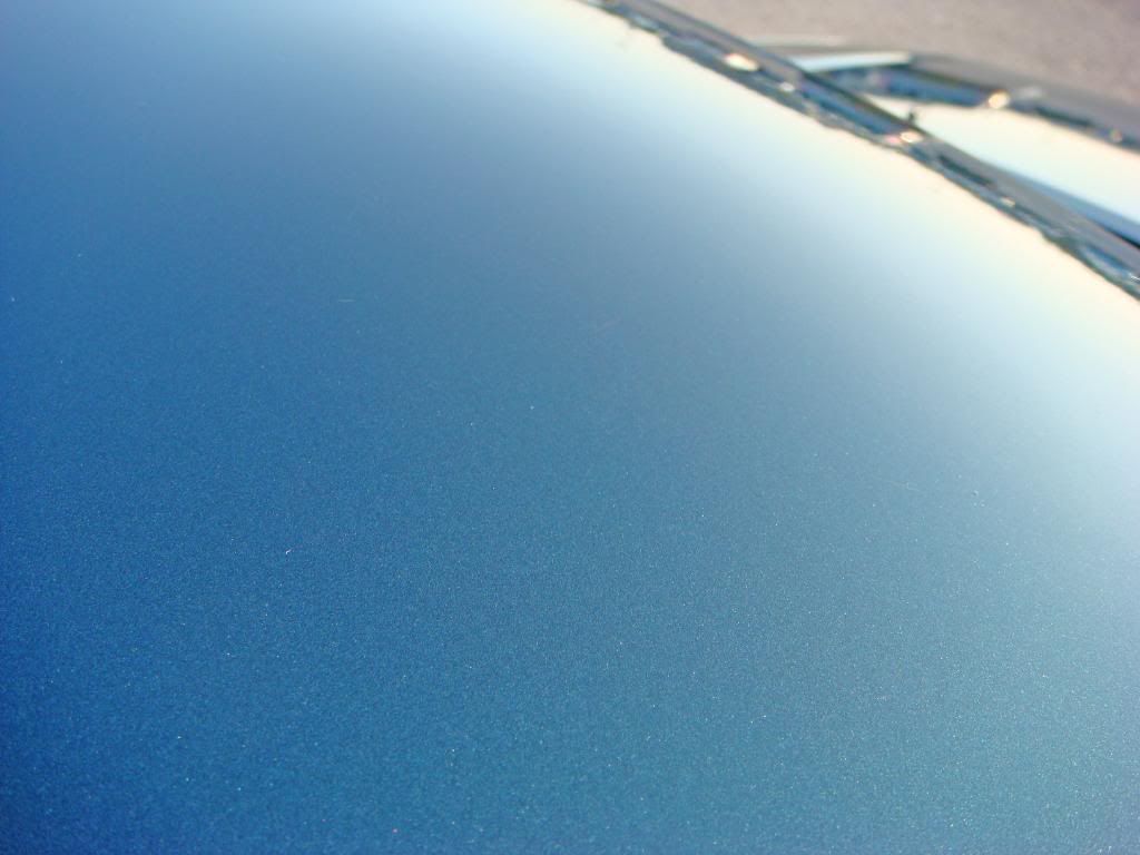 Closeup.jpg