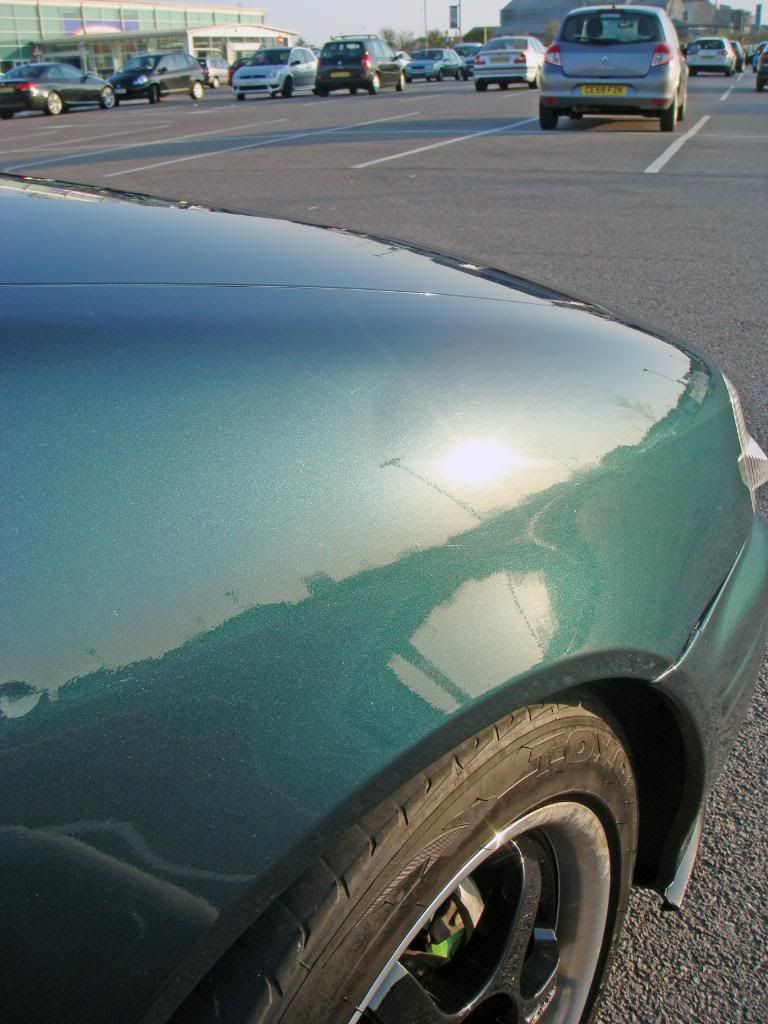 Closeup1.jpg
