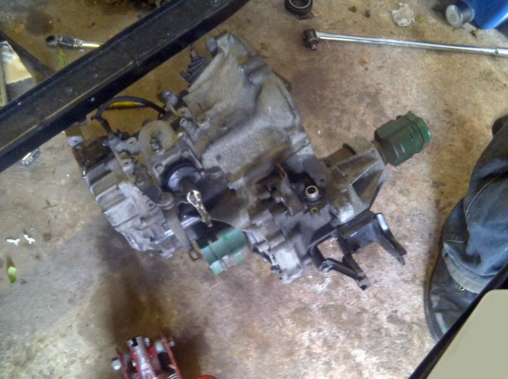 IMG-20110625-00365.jpg