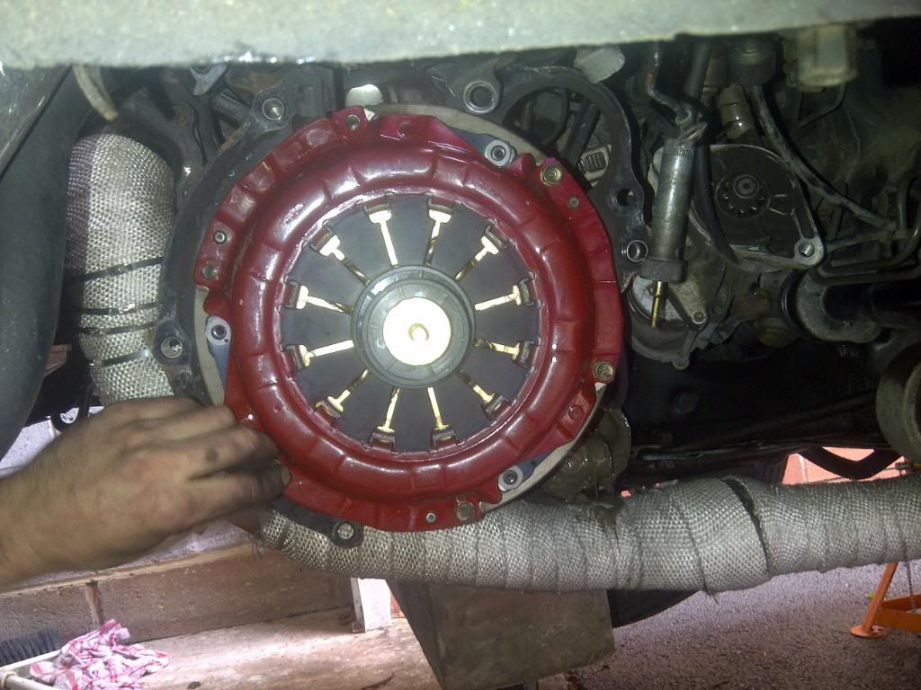 IMG-20110625-00370.jpg