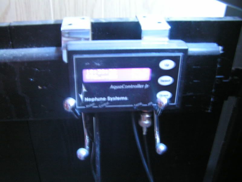 dl001.jpg