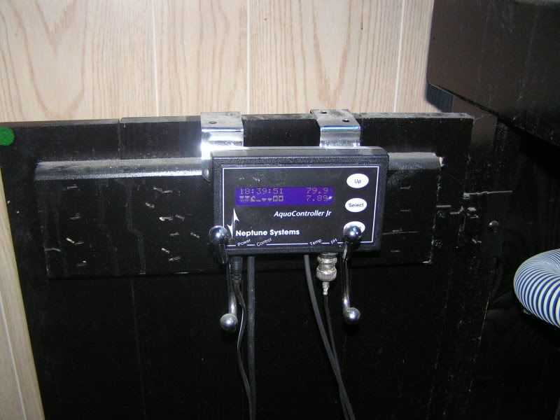 dl002.jpg