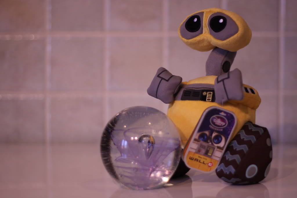 IMAGE: http://i56.photobucket.com/albums/g179/D-an-W/Canon%20EOS%2050D/IMG_0219.jpg