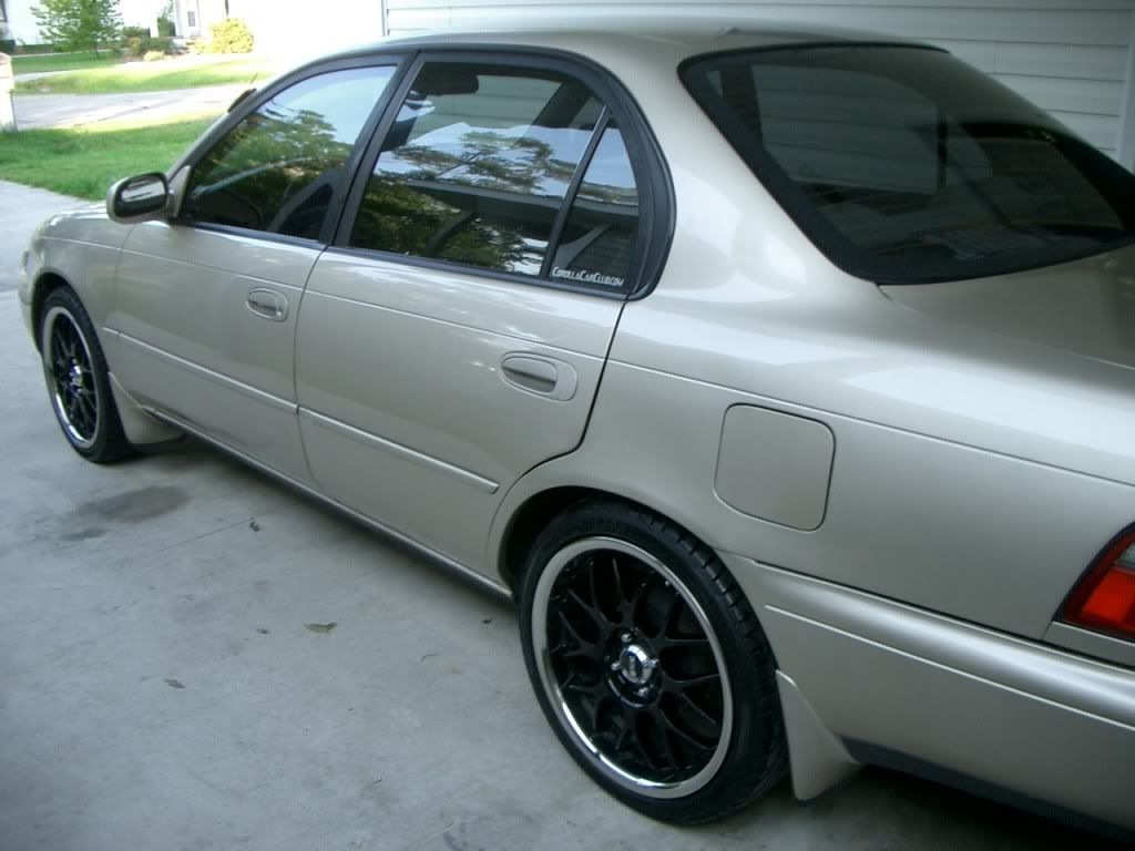 http://i56.photobucket.com/albums/g179/trife96/CIMG4080.jpg