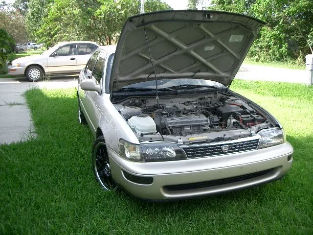 http://i56.photobucket.com/albums/g179/trife96/CIMG4149.jpg