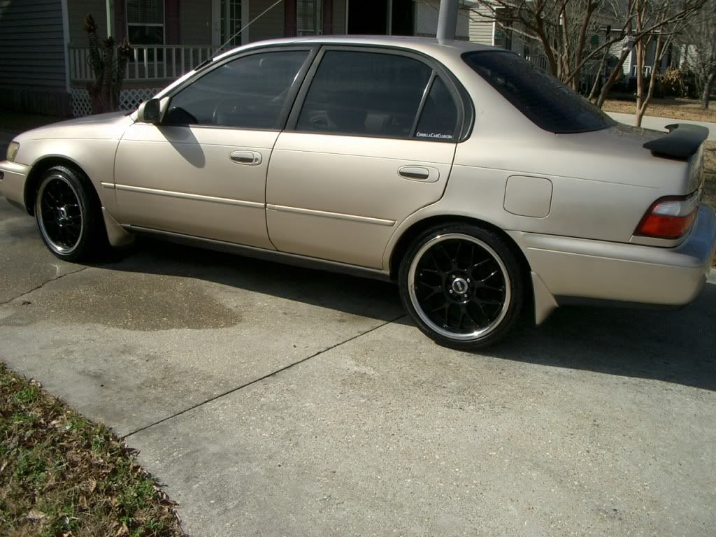 http://i56.photobucket.com/albums/g179/trife96/CIMG4478.jpg
