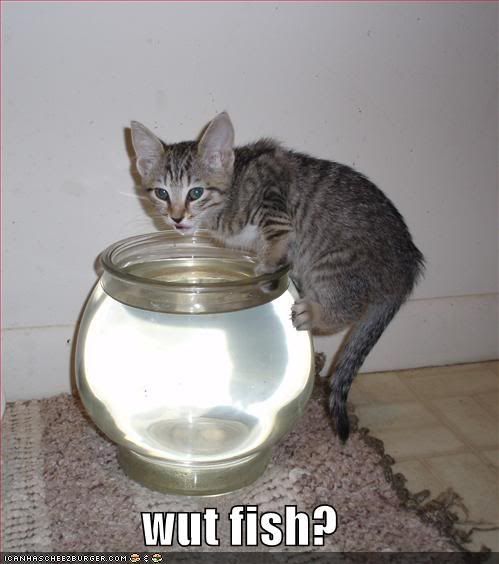[Image: funny-pictures-cat-drinks-fishbowl.jpg]