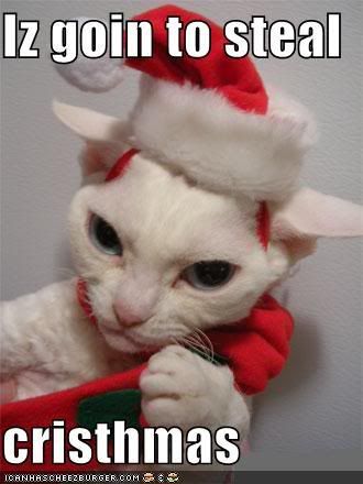 funny-pictures-cat-steals-christmas.jpg