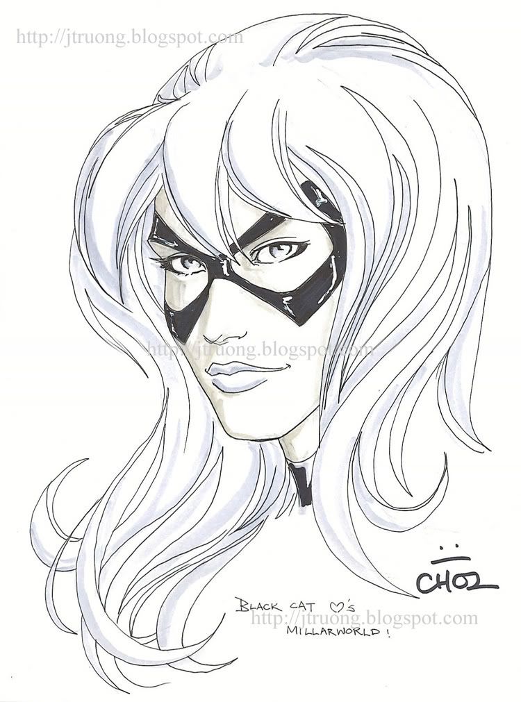 Black Cat by Mike Choi (2008)