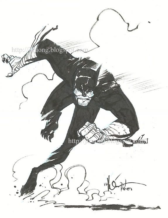 Wildcat by Ramon Perez