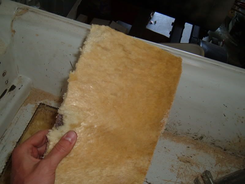 DSCF1182.jpg