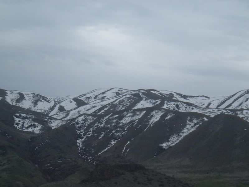 DSCF1583.jpg