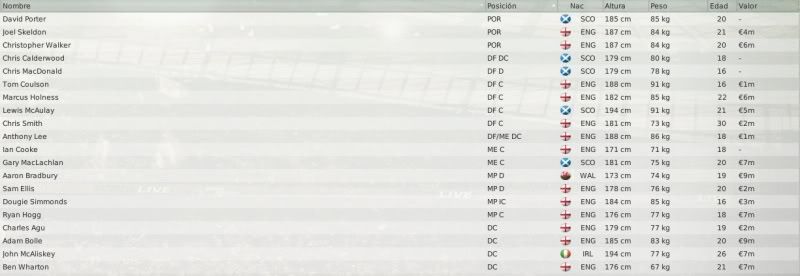 Plantilla-1.jpg