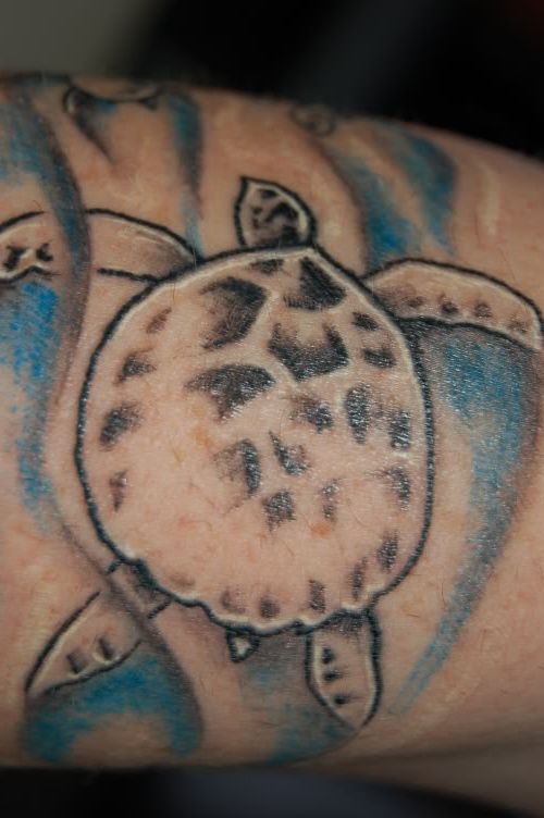 The tattoo is five turtles representing my wife, both my kids, 
