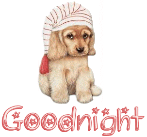 GoodnightPuppy.gif